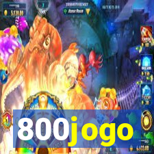 800jogo