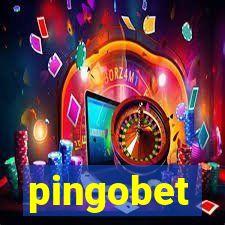 pingobet